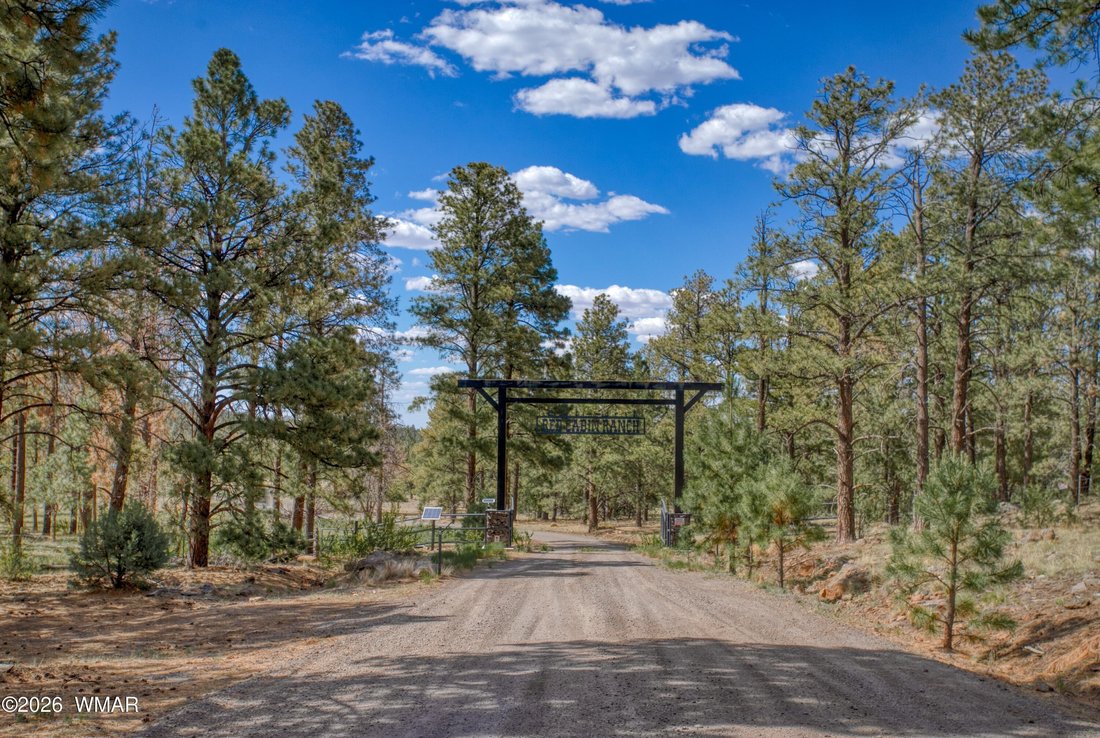 House in Springerville, Arizona, United States 2 - 18287670