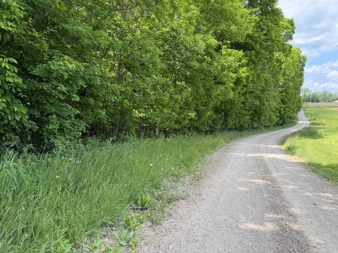 Land in Hopewell, Ohio, United States 3 - 18280494
