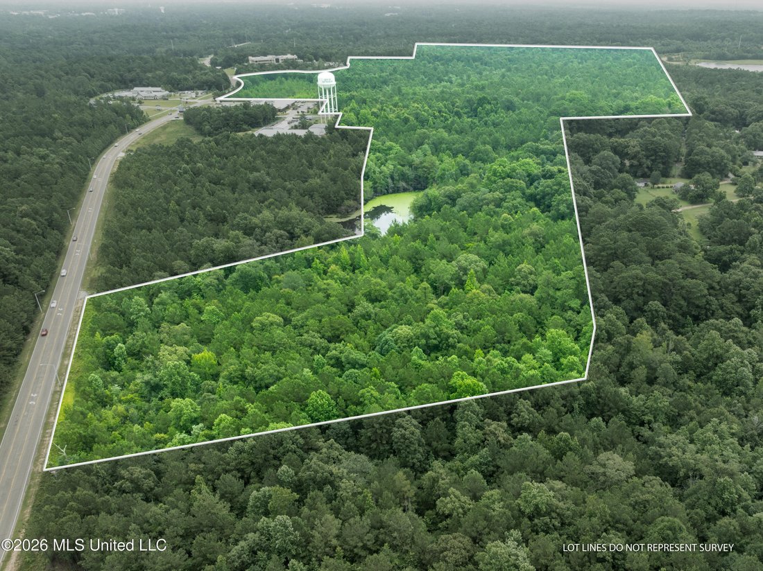 Land in Hattiesburg, Mississippi, United States 2 - 18285933