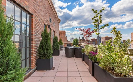 Co Op in New York, New York, United States 1