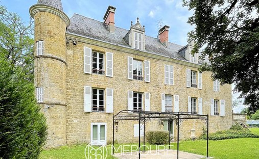 Castle in Cressensac-Sarrazac, Occitania, France 1