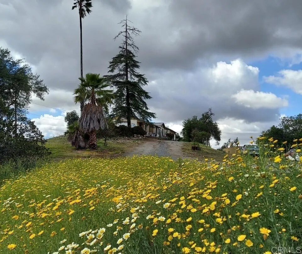 House in San Marcos, California, United States 5 - 18288967