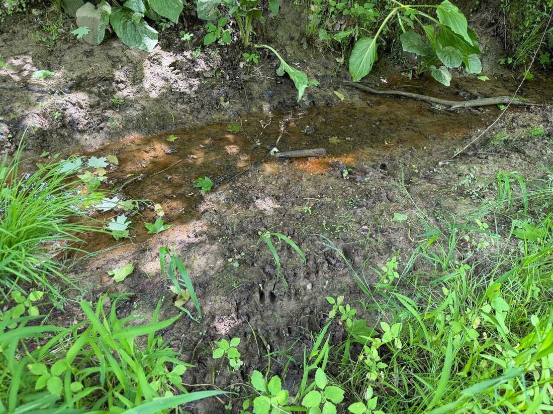 Land in Hopewell, Ohio, United States 5 - 18280494