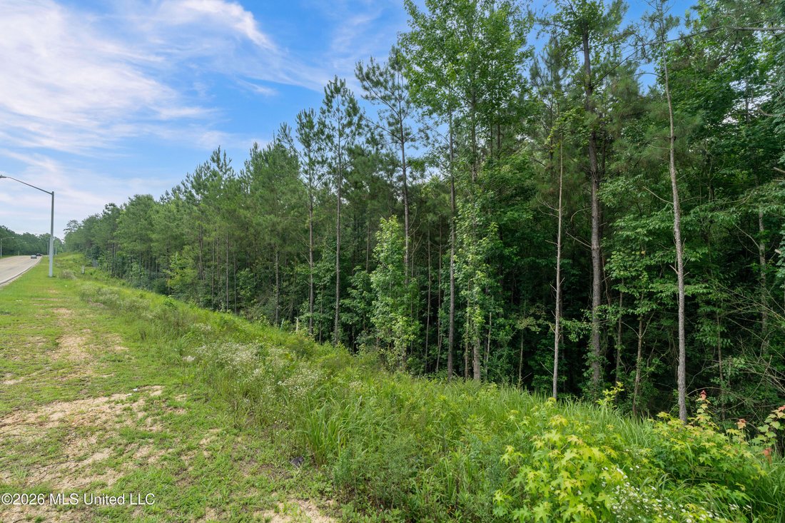 Land in Hattiesburg, Mississippi, United States 5 - 18285933