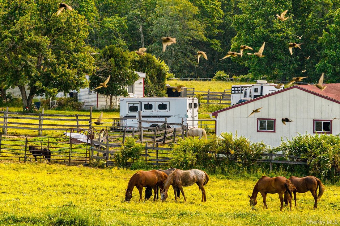 Land in Pine Bush, New York, United States 2 - 18281372