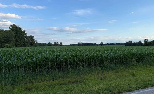 Land in Bethel, Ohio, United States 1
