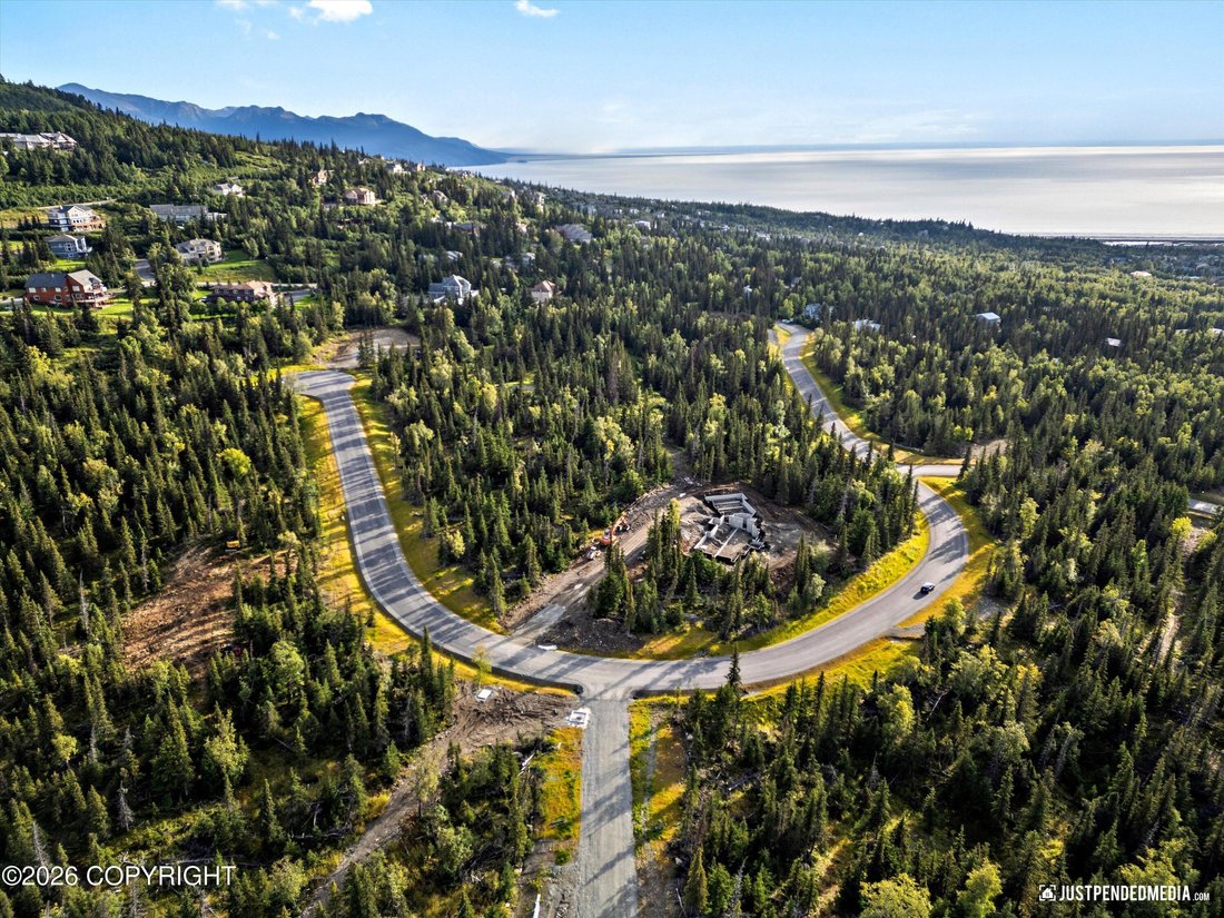 House in Anchorage, Alaska, United States 5 - 18288840