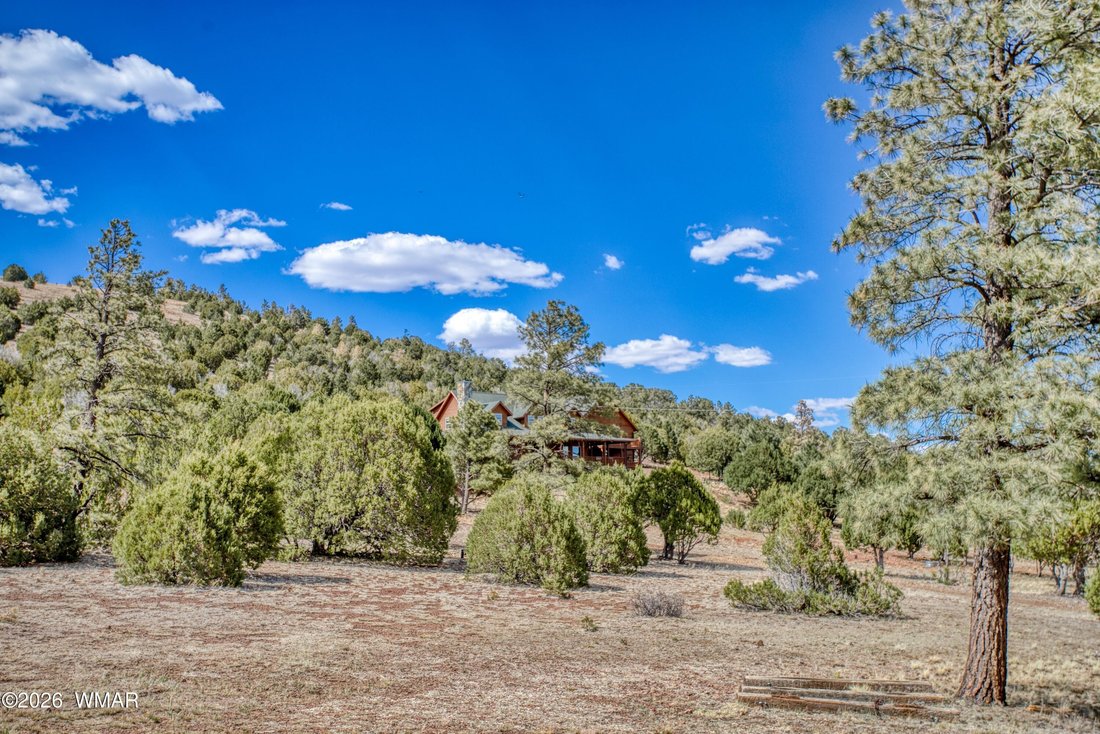 House in Springerville, Arizona, United States 4 - 18287670