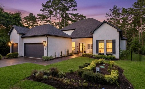 House in Spring, Texas, United States 1
