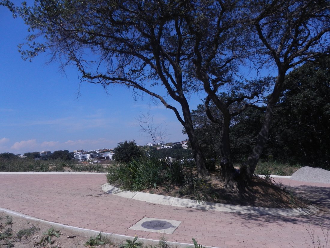 Eigentumswohnung in Ciudad López Mateos, Bundesstaat Mexiko, Mexiko 5 - 18286239