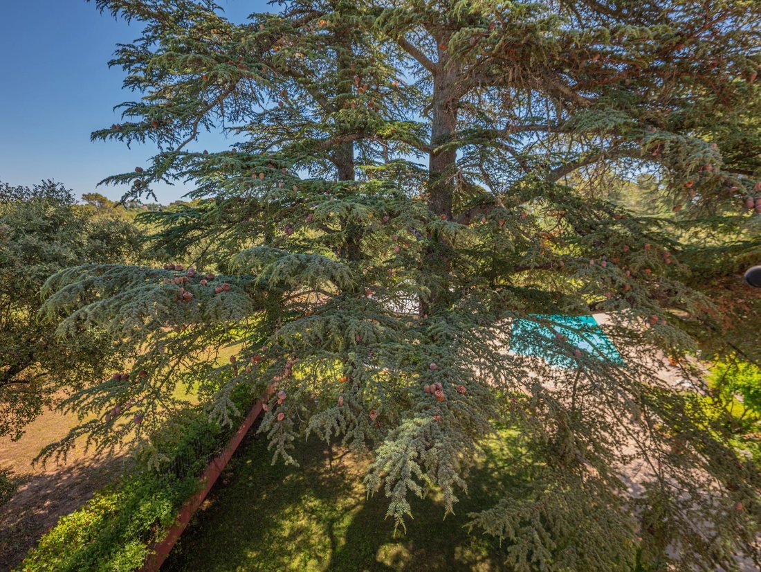 Villa in Taradeau, Provence-Alpes-Côte d'Azur, France 2 - 18282477
