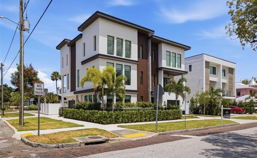 House in Tampa, Florida, United States 1