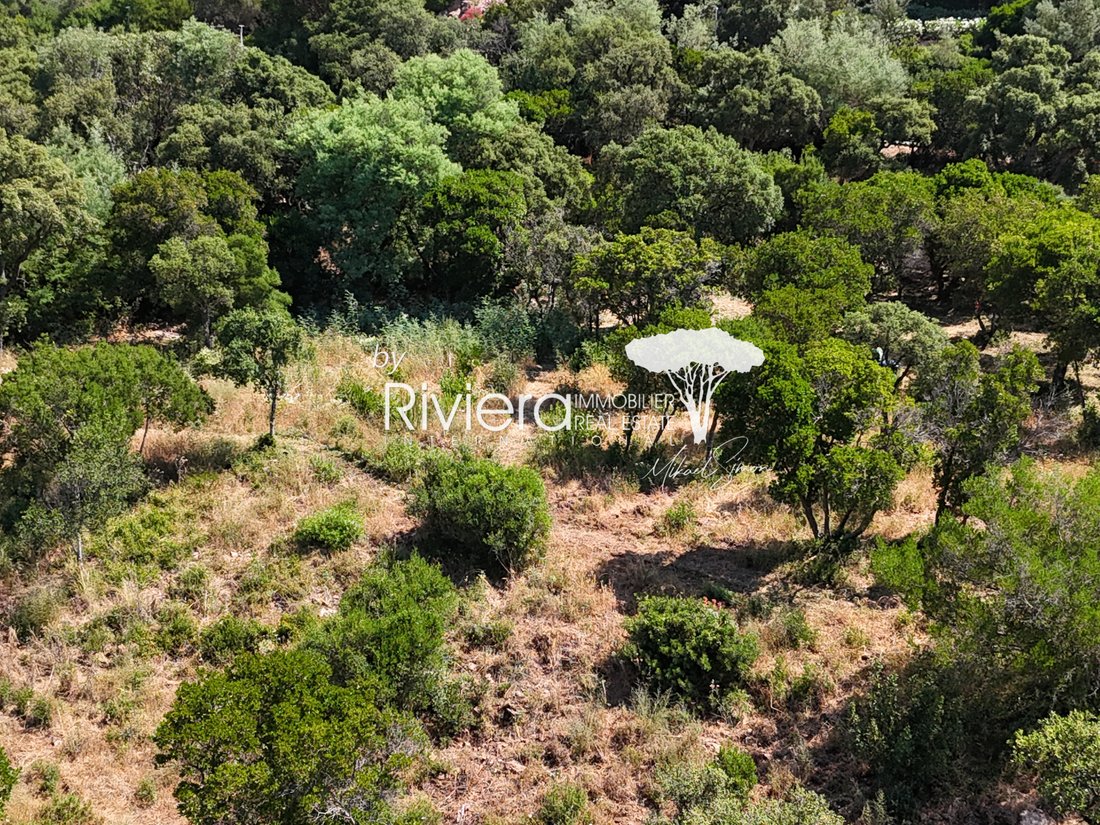 Land in Nord, Cavalaire-sur-Mer, France 4 - 18284969