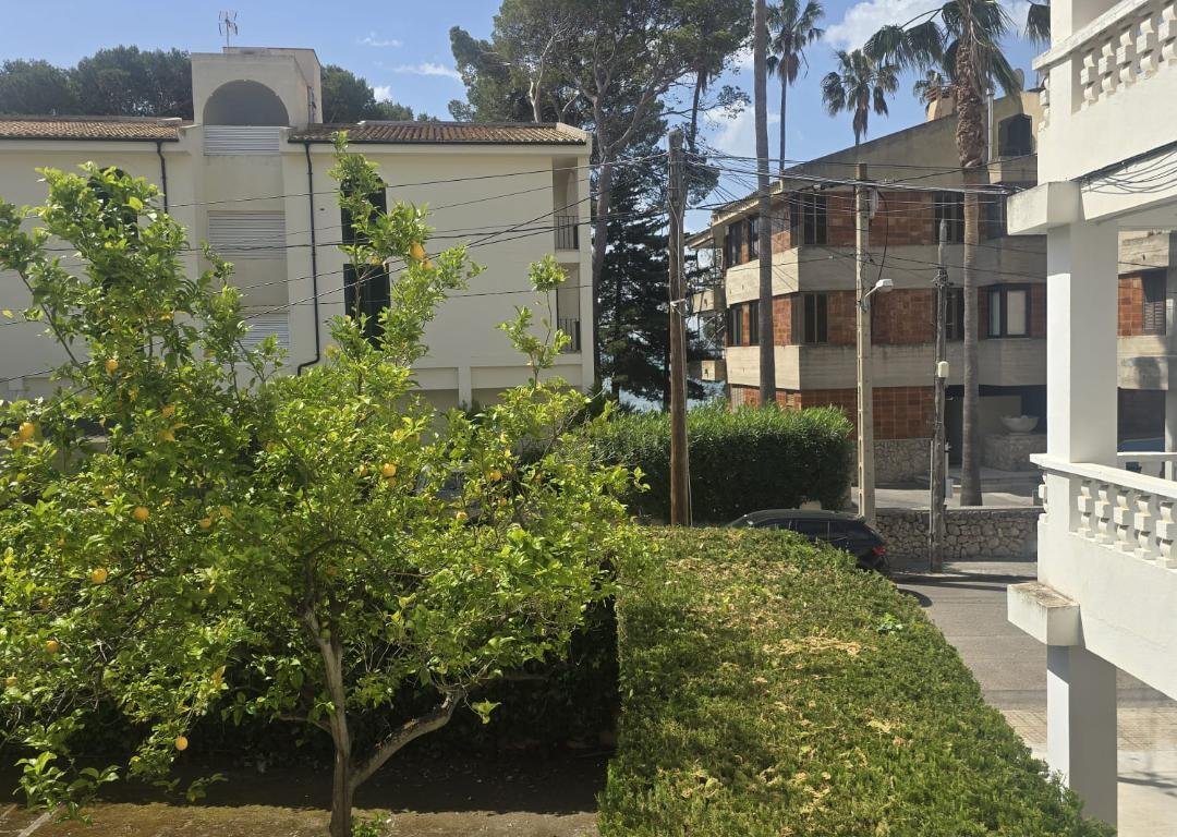 Apartment in Pollenca, Balearic Islands, Spain 2 - 18284125