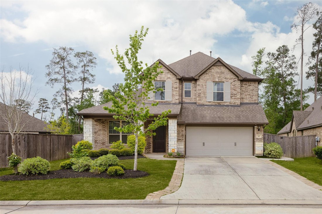 House in Conroe, Texas, United States 1 - 18284893