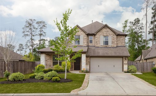 House in Conroe, Texas, United States 1