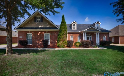 House in Madison, Alabama, United States 1
