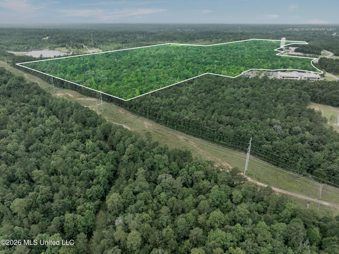 Land in Hattiesburg, Mississippi, United States 4 - 18285933