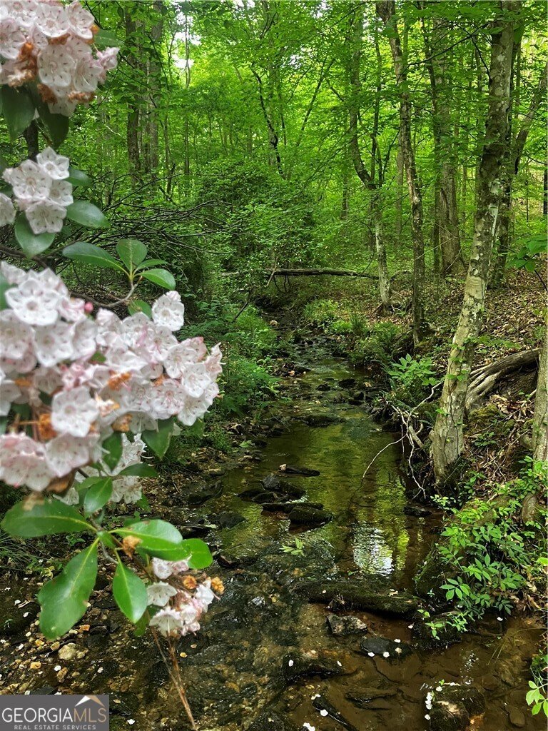 Farm Ranch in Cumming, Georgia, United States 1 - 17736316