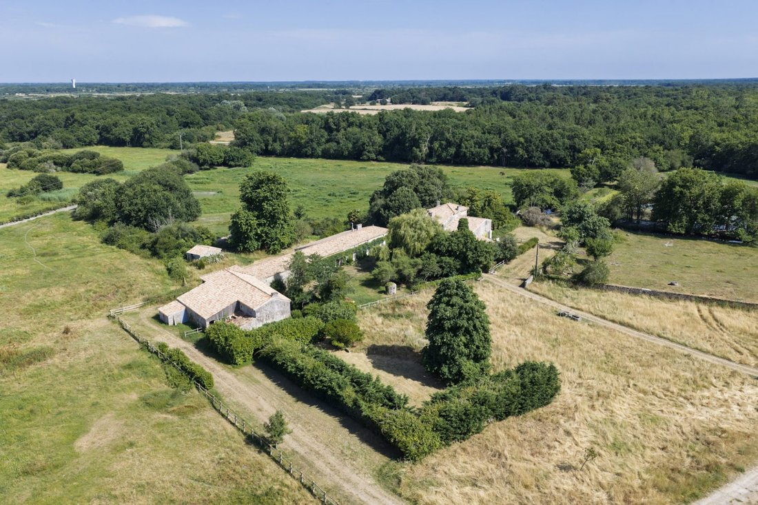 House in Saint-Vivien-de-Medoc, Nouvelle-Aquitaine, France 2 - 17144021