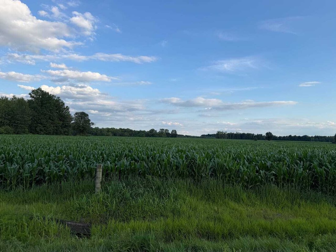 Land in Bethel, Ohio, United States 2 - 18280537