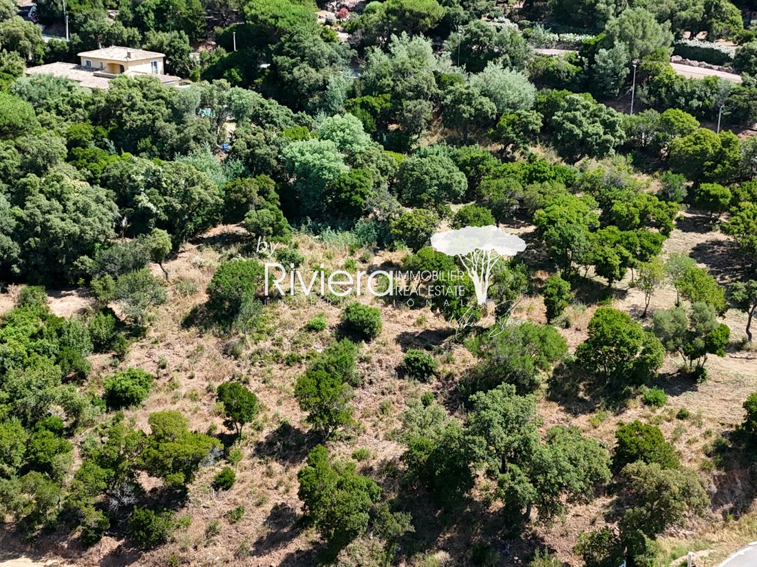 Land in Nord, Cavalaire-sur-Mer, France 4 - 18284971