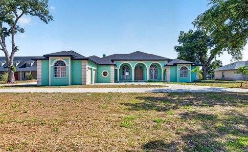 House in Riverview, Florida, United States 1