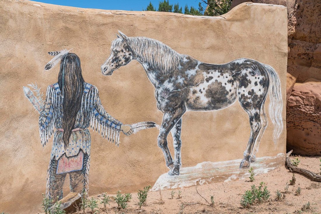 House in Sandia Park, New Mexico, United States 5 - 18291660