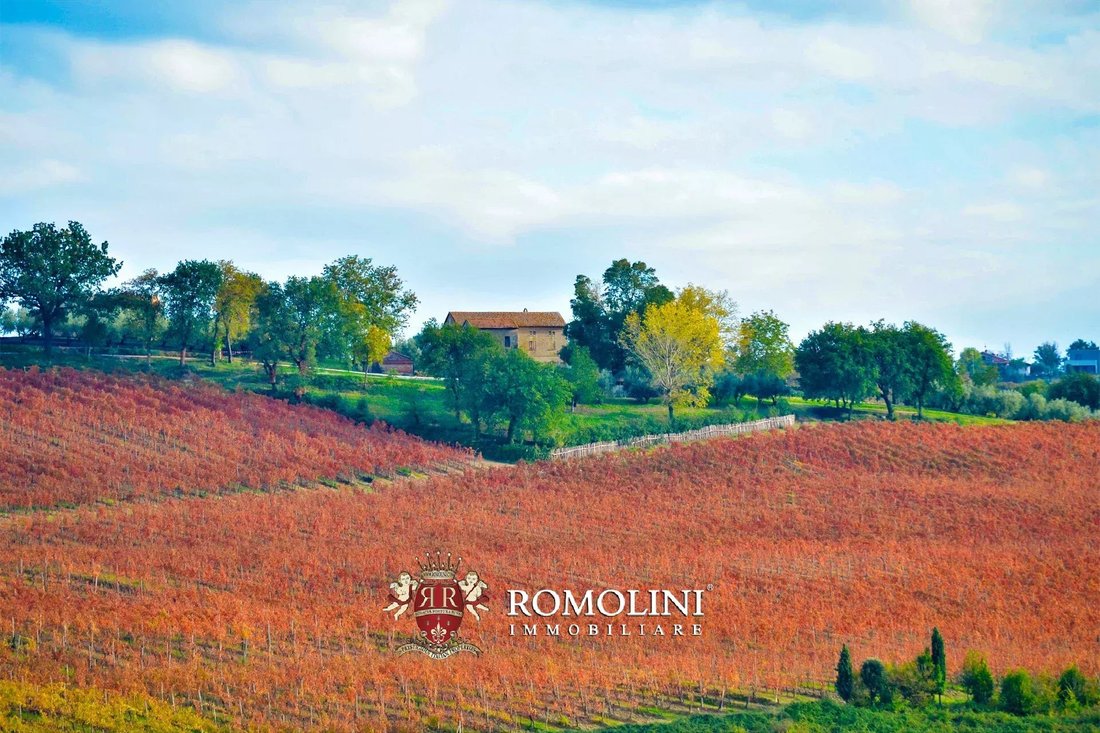 Farm Ranch in Morro d'Alba, Marche, Italy 5 - 18283130