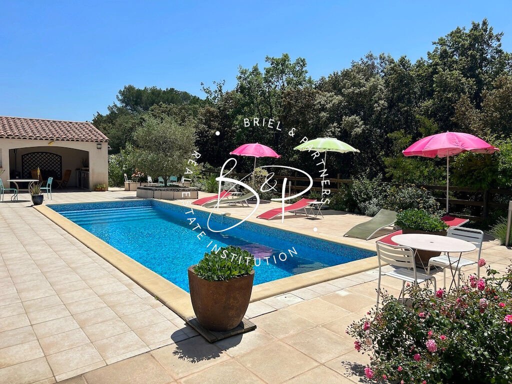 Villa in Est, Lorgues, France 4 - 18282894