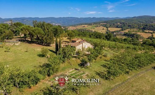 House in Pratovecchio, Tuscany, Italy 1