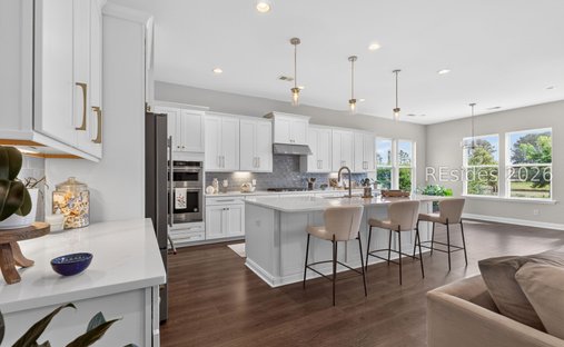 House in Hardeeville, South Carolina, United States 1