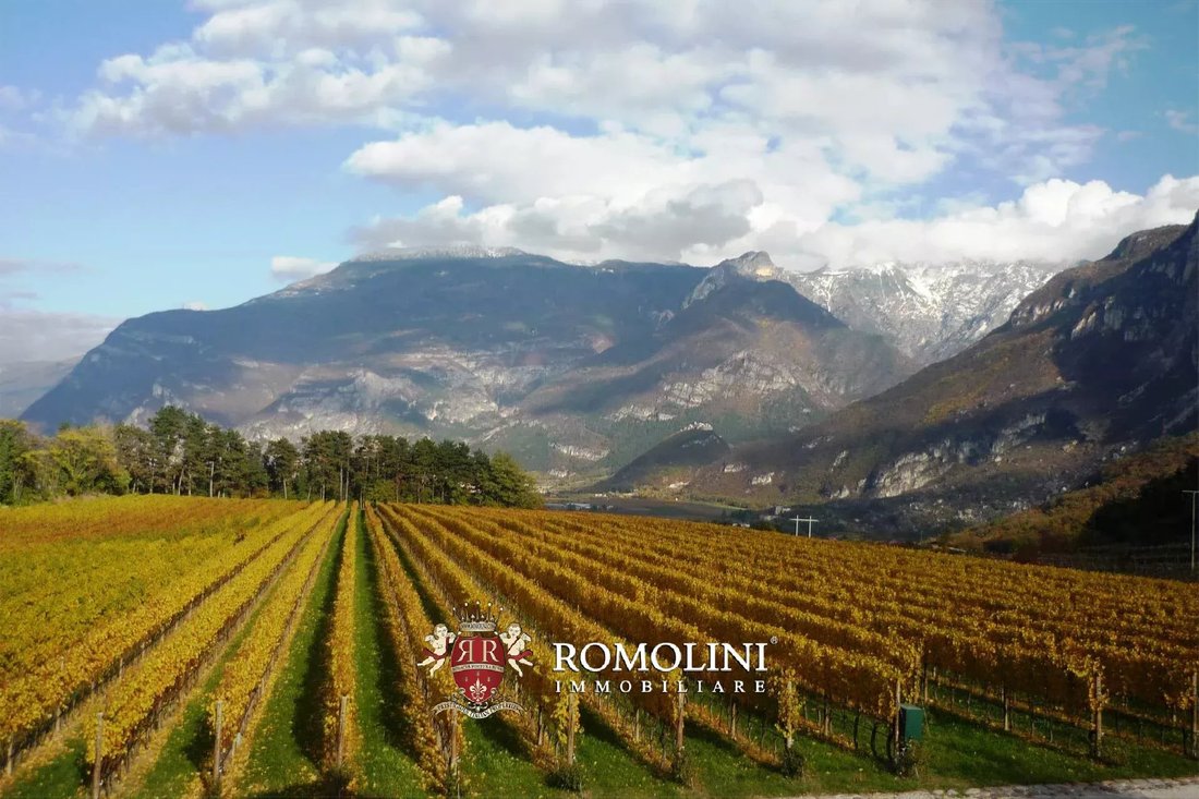 Farm Ranch in South Center, Rovereto, Trentino – Alto Adige/Südtirol 3 - 15663438
