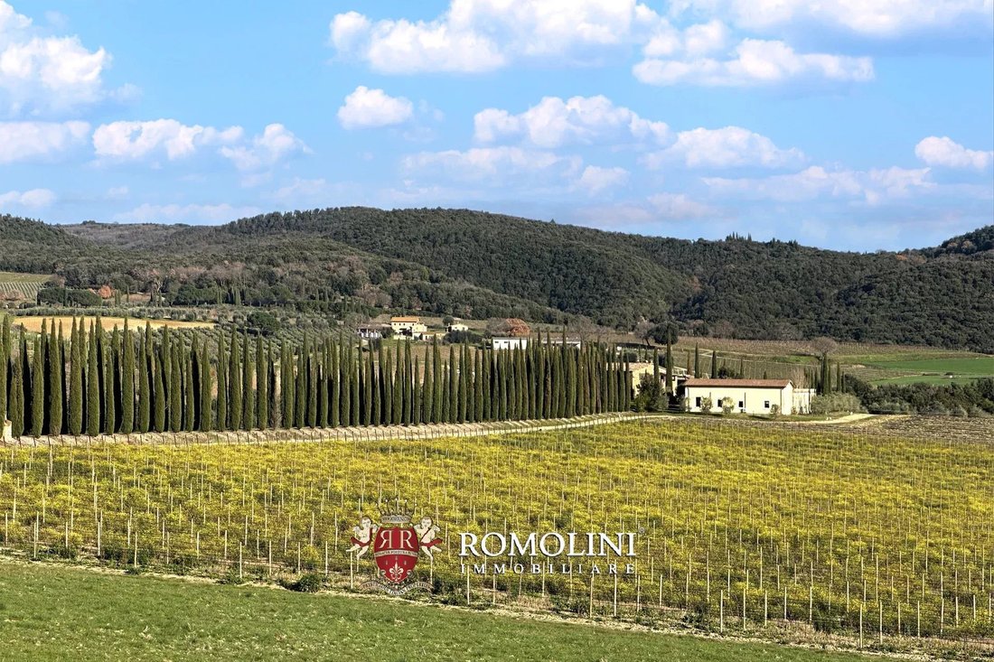 Farm Ranch in Montalcino, Tuscany, Italy 1 - 17348837