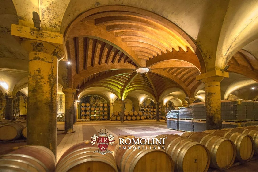 Farm Ranch in Castellina in Chianti, Tuscany, Italy 1 - 15663461