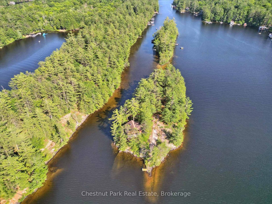 House in Gravenhurst, Ontario, Canada 5 - 18220871