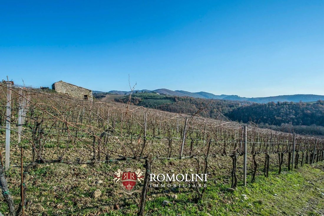 Farm Ranch in Gaiole in Chianti, Tuscany, Italy 3 - 15663329