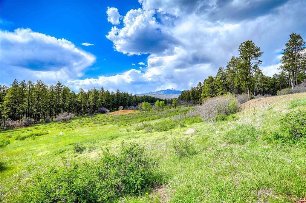 Land in Pagosa Springs, Colorado, United States 5 - 18289229