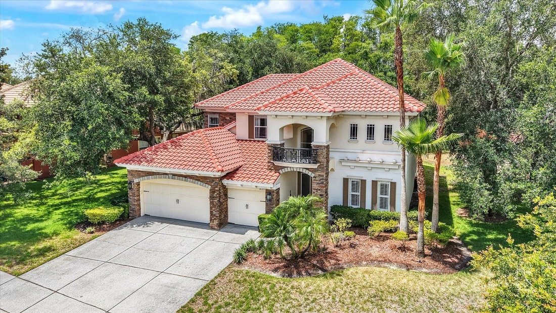 House in New Port Richey, Florida, United States 1 - 18292137