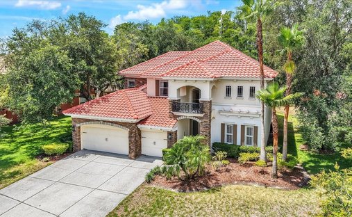 House in New Port Richey, Florida, United States 1