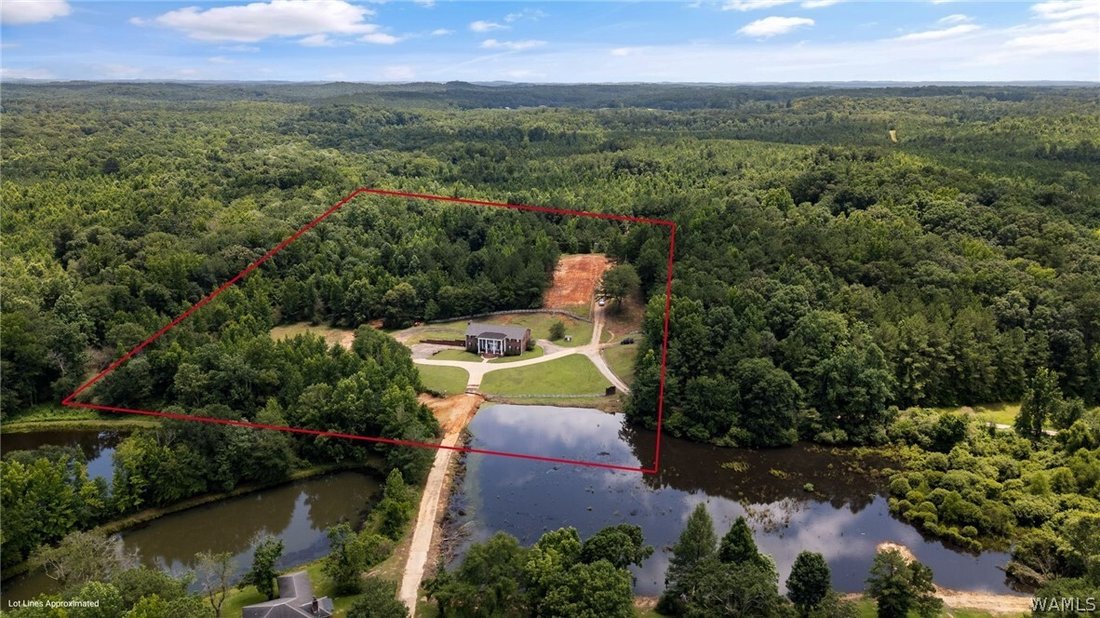 House in Cottondale, Alabama, United States 4 - 18263111
