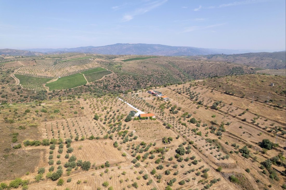 Land in Vila Nova de Foz Coa, Guarda District, Portugal 5 - 18283094