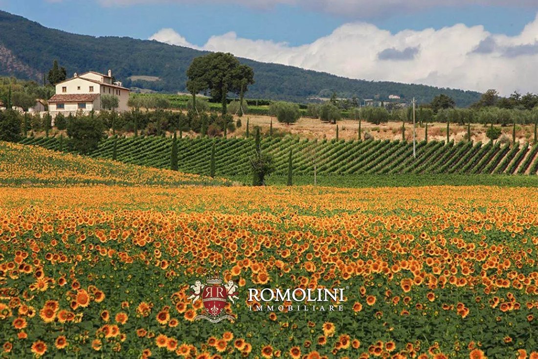 Azienda agricola a Sarteano, Toscana, Italia 3 - 15663255