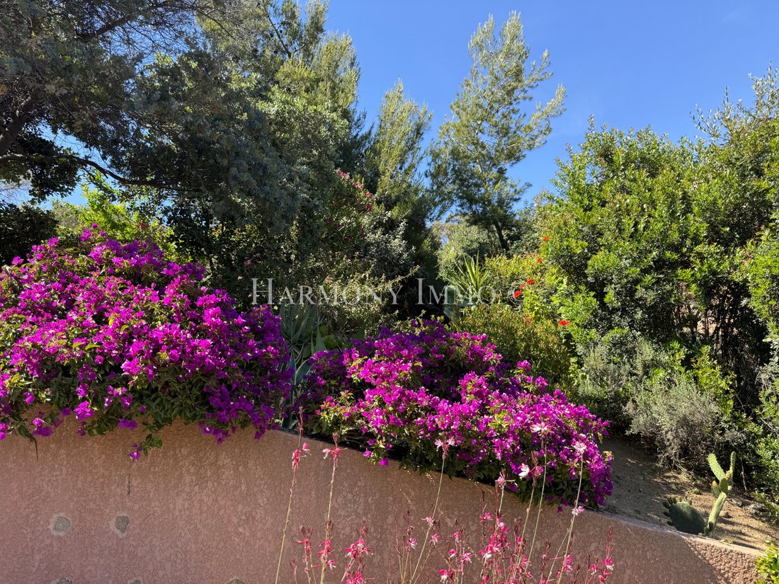 Villa a Vico, Corsica, Francia 5 - 18284963