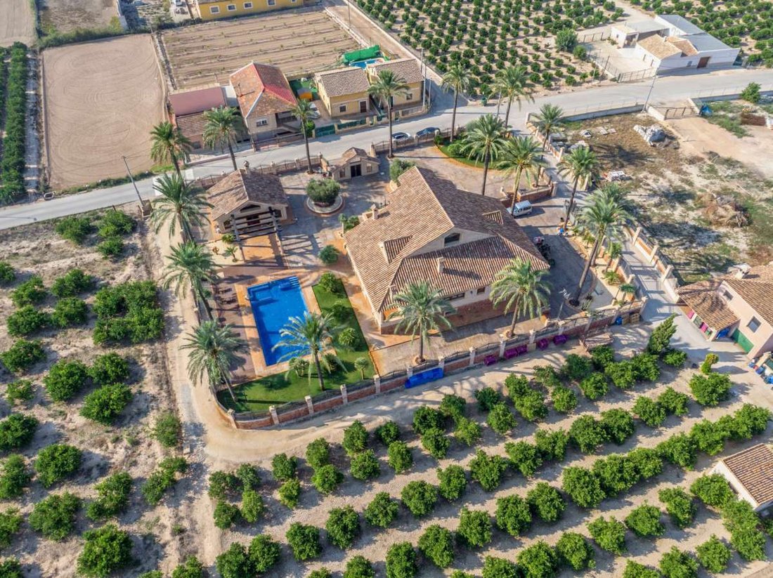 Villa in Orihuela, Valencian Community, Spain 3 - 18286930
