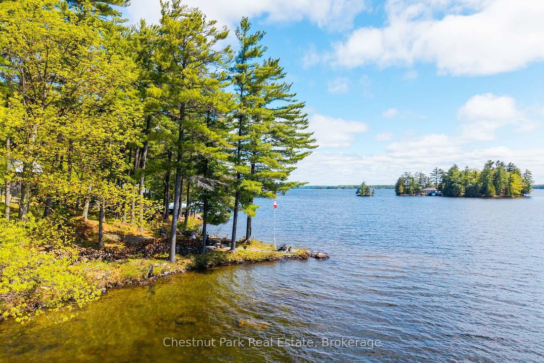 House in Port Carling, Ontario, Canada 3 - 18003977