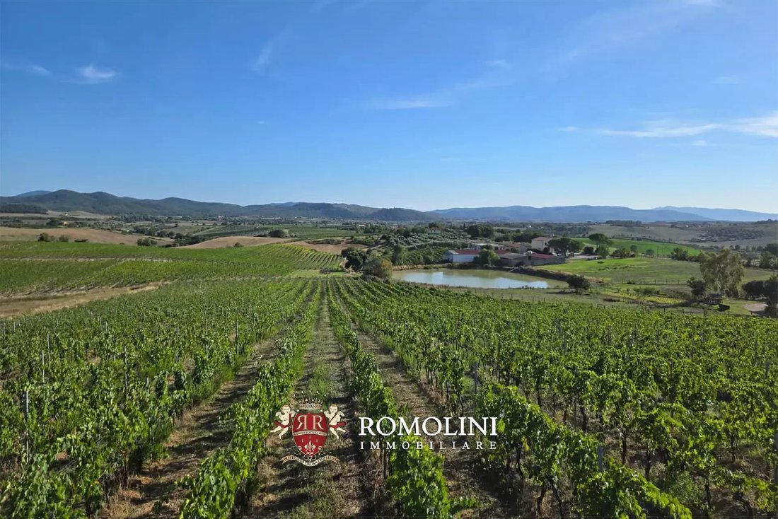Farm Ranch in Magliano in Toscana, Tuscany, Italy 1 - 16474573
