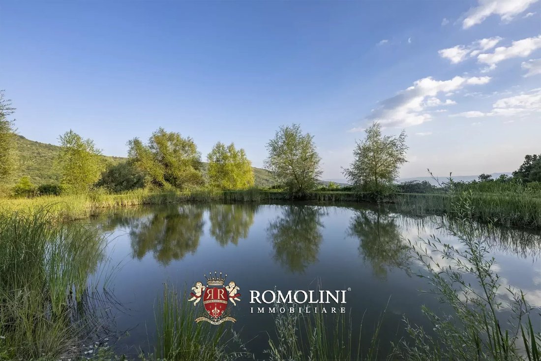 Estate in Borgo a Cascia, Reggello, Tuscany 5 - 17389260
