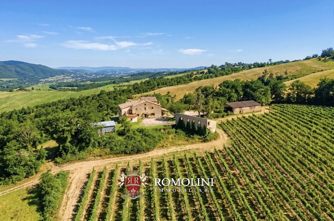 House in Allerona, Umbria, Italy 4 - 15663377