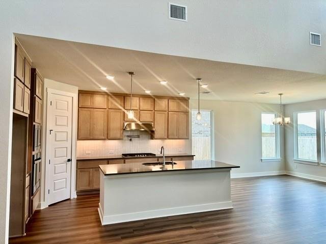 House in Pflugerville, Texas, United States 5 - 18284768